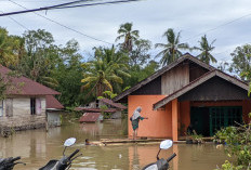 Update Banjir Kota Bengkulu: 16 Lokasi Terendam, Kawasan Pesisir Sungai Paling Parah