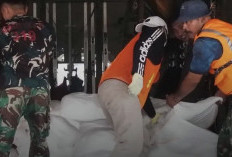     BNPB Habiskan 14,3 Ton Bahan Semai untuk Atasi Karhutla, Ini Hasilnya