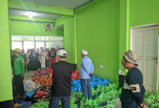 Kemenag Bengkulu Sembelih 14 Sapi dan 1 Kambing pada Iduladha 1447 H, Bagikan 900 Kupon Daging Kurban