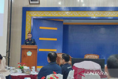 Investasi Rp473 Miliar Siap Masuk Bengkulu, Pabrik Minyak Goreng Jadi Andalan