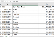 Dana Desa 2026 Rote Ndao Tembus Rp35,1 Miliar, Ini Rincian Lengkap Per Desa