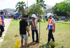 Pelindo Tanam 250 Pohon, Program Greenbelting Diperluas hingga Bengkulu Dukung Dekarbonisasi