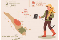 Harga Sayuran Mendongkrak NTP Hortikultura Bengkulu 13,86 Persen, Perkebunan Justru Terpuruk