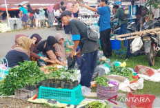 BPS: Harga Cabai, Telur dan Ayam Jadi Kunci Kendalikan Inflasi Bengkulu yang Tembus 3,96 Persen