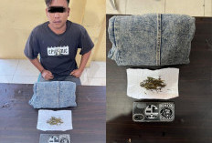 Lagi-Lagi Masuk Bui, Pemuda 21 Tahun Tertangkap Bawa Ganja di Kawasan Sawah Lebar