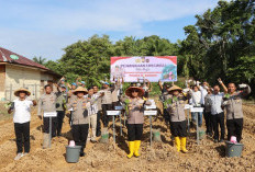 Dukung Ketahanan Pangan Nasional, Polres Mukomuko Tanam Uwi Ungu