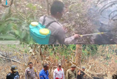 Titik Api Muncul di Sipongi, Polsek Penarik Raya Bergerak Padamkan Karhutla Mukomuko