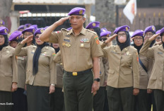 Daftar 7 Waketum DPN IARMI 2025-2030 dan Bidang yang Mereka Pegang