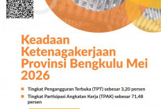 Angkatan Kerja Bengkulu Tembus 1,16 Juta Orang, Pekerja Informal Masih Dominan