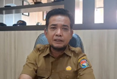 Patung Sawit Berbalut Lentera Api Segera Hadir di Bundaran Mukomuko, Tiba November 2026