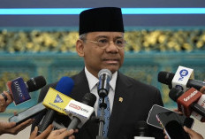 Suahasil Nazara Jadi Menkeu, Ini Profil Lengkapnya