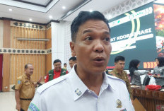 BMKG Sebut 3 Kabupaten Bengkulu Masuk Zona Merah, Risiko Karhutla Capai 90 Persen