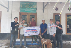 Tebar Kepedulian Sosial, Astra Motor Bengkulu Serahkan Kambing Kurban ke Masjid Miftahul Jannah