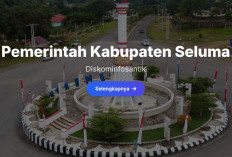 Honorarium 4 SKPD di Seluma Jadi Catatan BPK, Nilainya Lampaui Rp121 Juta