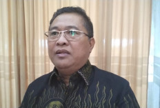 Harga Sawit Bengkulu Naik Jadi Rp3.486 per Kilogram, Petani Diminta Jaga Kualitas TBS
