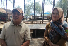 Pemkot Bengkulu Mulai Petakan Titik Pembangunan Gazebo di Pantai Panjang