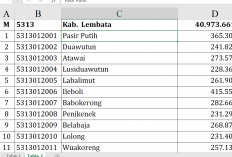 Fantastis! Dana Desa 2026 Lembata Tembus Rp40,97 Miliar, Ini Rincian Lengkap per Desa 