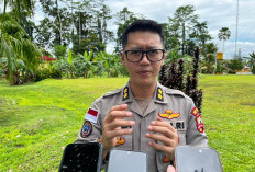 Satgas Damai Cartenz Amankan Terduga Wadanyon HSSBI di Yahukimo