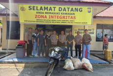 Curi TBS Sawit di Mukomuko, Pria 26 Tahun Diamankan Warga Sebelum Diserahkan ke Polisi