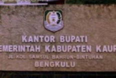 BPK Minta Pemkab Kaur Pulihkan Rp135,9 Juta Belanja Tenaga Ahli, Satpol PP Tertinggi