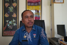 Harga Plastik Naik di Bengkulu, UMKM Makanan Tradisional Tertekan, Disperindag Sarankan Pakai Daun Pisang