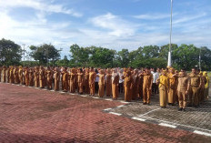 Segini Total ASN di Mukomuko yang Bakal Purna Tugas Tahun 2026, Ini Penjelasannya