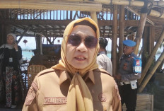 Lonjakan Wisatawan, Belum Ada Laporan Darurat di Posko Kesehatan