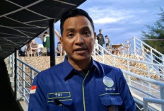 Angin Kencang 20 Knot Terjang Bengkulu, BMKG Tetapkan Wilayah Pegunungan Siaga