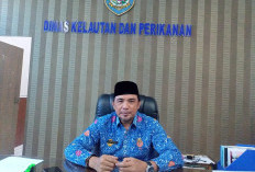 Pemprov Bengkulu Usulkan 6 Kampung Nelayan Merah Putih 2026, Tiap Lokasi Dapat Rp25 Miliar