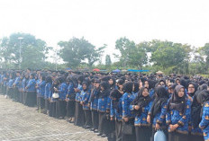 Batas Belanja Pegawai 30 Persen, Ribuan PPPK Mukomuko Terancam Dirumahkan