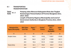 Kendaraan di Bengkulu Tembus 1,24 Juta Unit, Beban Infrastruktur Jalan Kian Meningkat