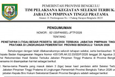 3 Nama Berebut Kursi Kepala Biro Hukum Pemprov Bengkulu, Siapa yang Lolos?