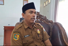 Nasib 1.864 PPPK Paruh Waktu Mukomuko Ditentukan Evaluasi, Kontrak Bisa Tak Diperpanjang