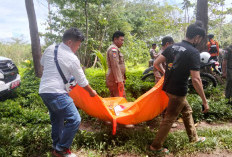 Dikira Boneka, Mayat Pria Tanpa Identitas Ditemukan di Sungai Kota Tua Bengkulu