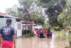Banjir Kota Bengkulu Rendam 4 Kecamatan, 696 KK Terdampak