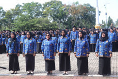 THR PPPK Paruh Waktu Belum Dianggarkan, BKD Mukomuko Tunggu Regulasi Pusat