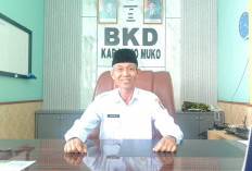 PAD Mukomuko Triwulan I 2026 Tembus Rp14,56 Miliar, Pajak dan Retribusi Jadi Andalan