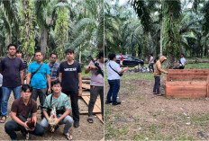 Arena Judi Sabung Ayam dan Dadu di Selika I Kaur Digerebek Polisi, Pelaku Kabur Tinggalkan Barang Bukti