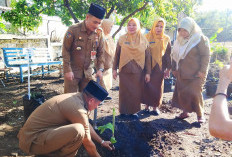 Sekda Bengkulu Apresiasi Kebun Bantu Rakyat Dinas ESDM, Jadi Contoh Inovasi OPD