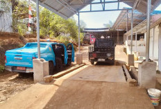 Kabar Baik Petani Sawit Mukomuko, Seluruh Timbangan Perusahaan Dipastikan Akurat dan Sesuai Standar