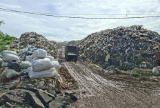 Cuaca Ekstrem, DLH Kota Bengkulu Jaga Penanganan Sampah Tetap Stabil