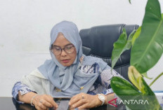 4.322 Penerima Bansos di Bengkulu Terindikasi Judol, PKH Tertahan di Bank