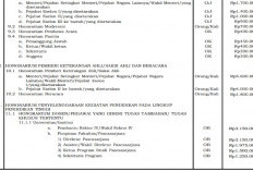 PMK Terbaru Atur Honorarium Dosen Bertugas Khusus 2026, Wakil Rektor IV Maksimal Rp3,15 Juta