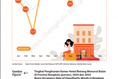 BPS Jelaskan Kriteria Hotel Bintang, Tak Hanya Jumlah Kamar dan Bangunan Mewah
