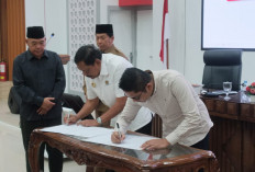 Pemprov Bengkulu Siapkan Pajak Air Permukaan untuk 34 Perusahaan Sawit, Berlaku Mulai 2027