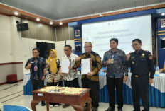 1.508 KDKMP Terbentuk di Bengkulu, Dua Gerai Percontohan Sudah Catat Transaksi Rp306 Juta