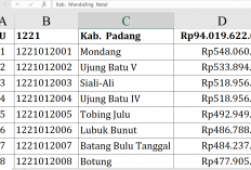 Dana Desa 2026 Padang Lawas Rp94 Miliar, Mondang Tertinggi Rp548 Juta, Janji Manahan Terendah