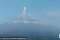 Gunung Semeru Erupsi 5 Kali Pagi Ini, Kolom Abu Capai 1.200 Meter