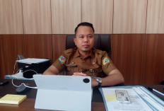 Pemprov Bengkulu Wajibkan Pajak Alat Berat Lunas Sebelum Beroperasi, Target PAD Rp2,5 Miliar
