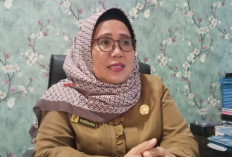 TPT Mukomuko 3,33 Persen, Disnakertrans Siapkan Program Tekan Pengangguran